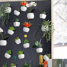 Load image into Gallery viewer, Fridge Sticker Flower Succulent Plant