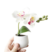 Load image into Gallery viewer, Fridge Sticker Flower Succulent Plant