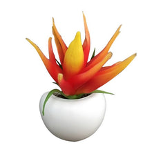 Load image into Gallery viewer, Fridge Sticker Flower Succulent Plant
