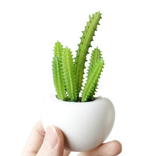 Load image into Gallery viewer, Fridge Sticker Flower Succulent Plant
