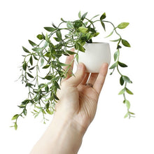 Load image into Gallery viewer, Fridge Sticker Flower Succulent Plant
